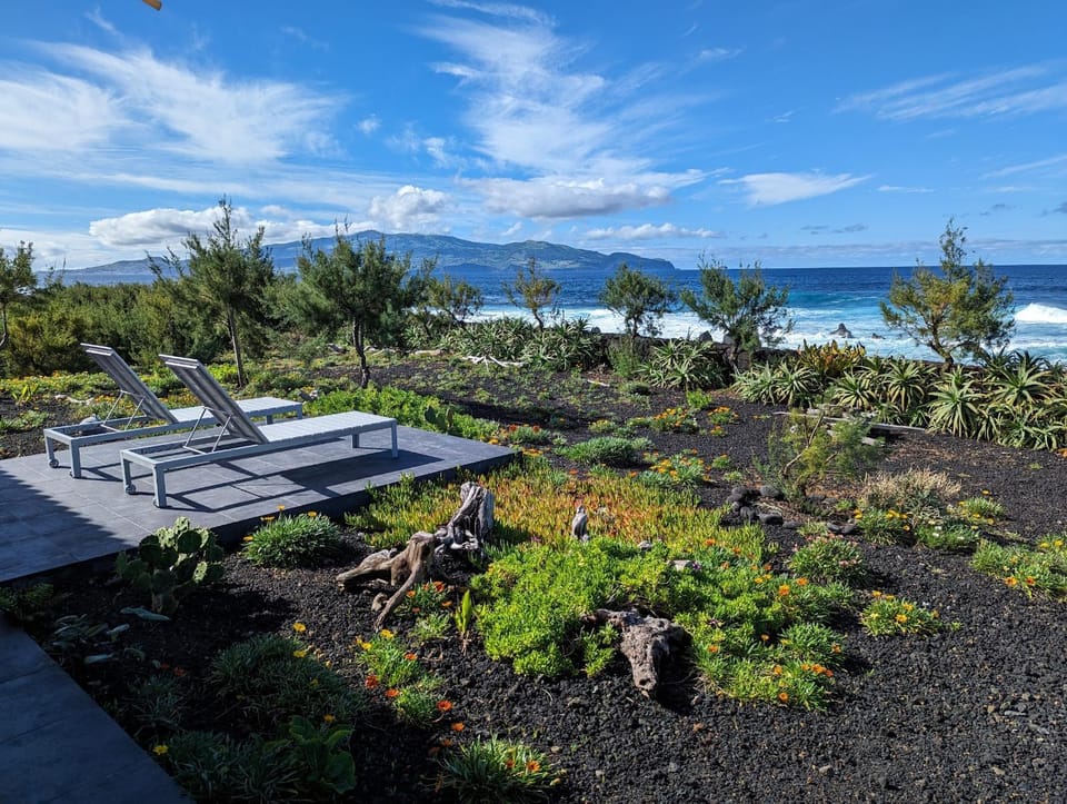 Natural landscape, Garden, Sea view, sunbed