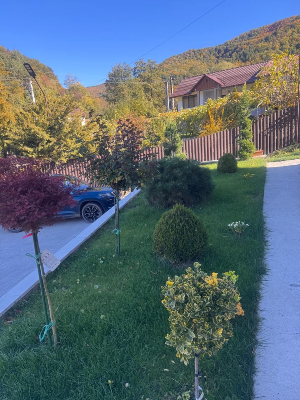 Noblesse Caciulata Bed and Breakfast in Romania