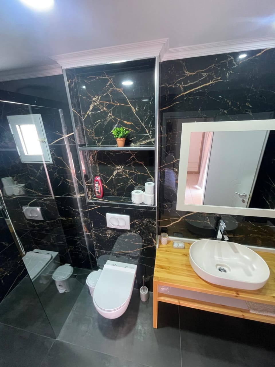 Shower, Toilet