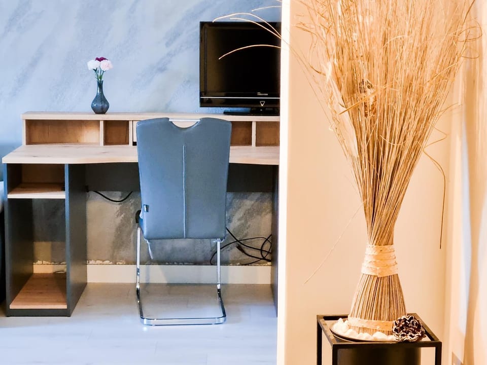 Da Vinci Appartement Apartment in Styria