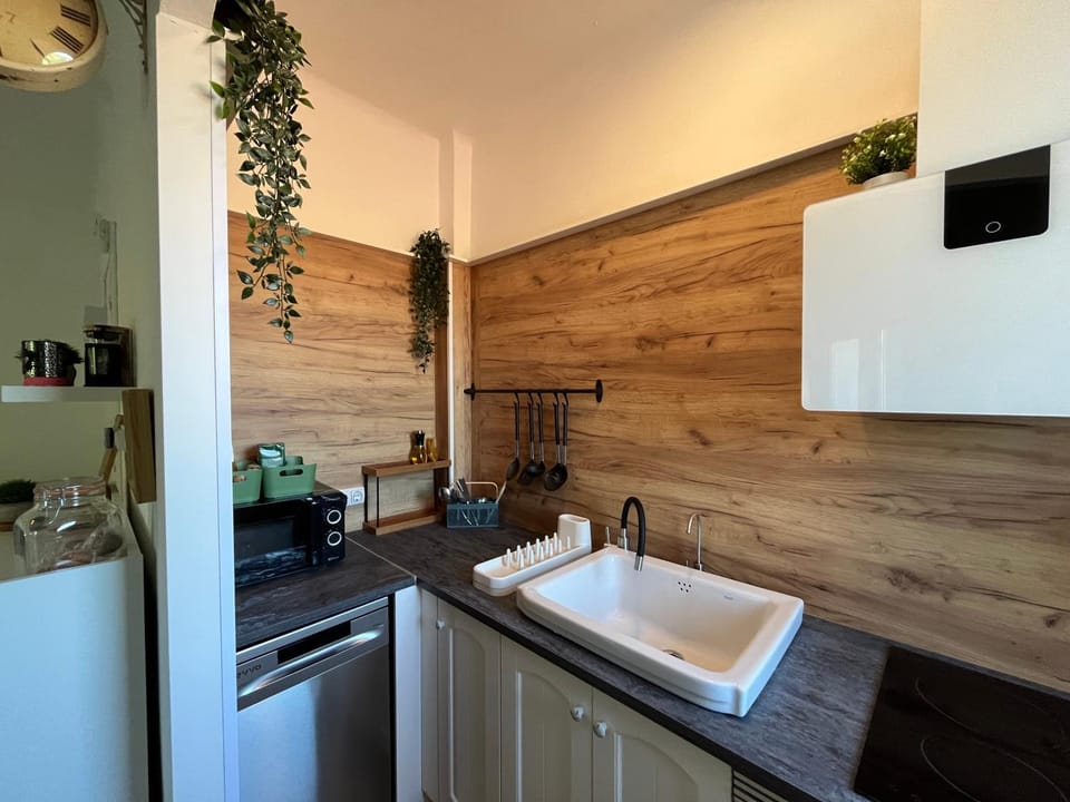Kitchen or kitchenette, dishwasher