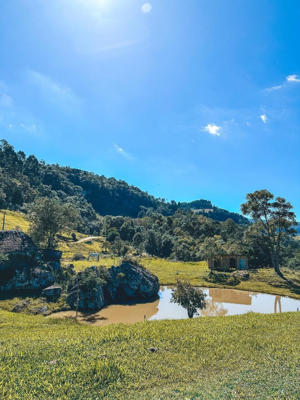 Day, Natural landscape, Lake view