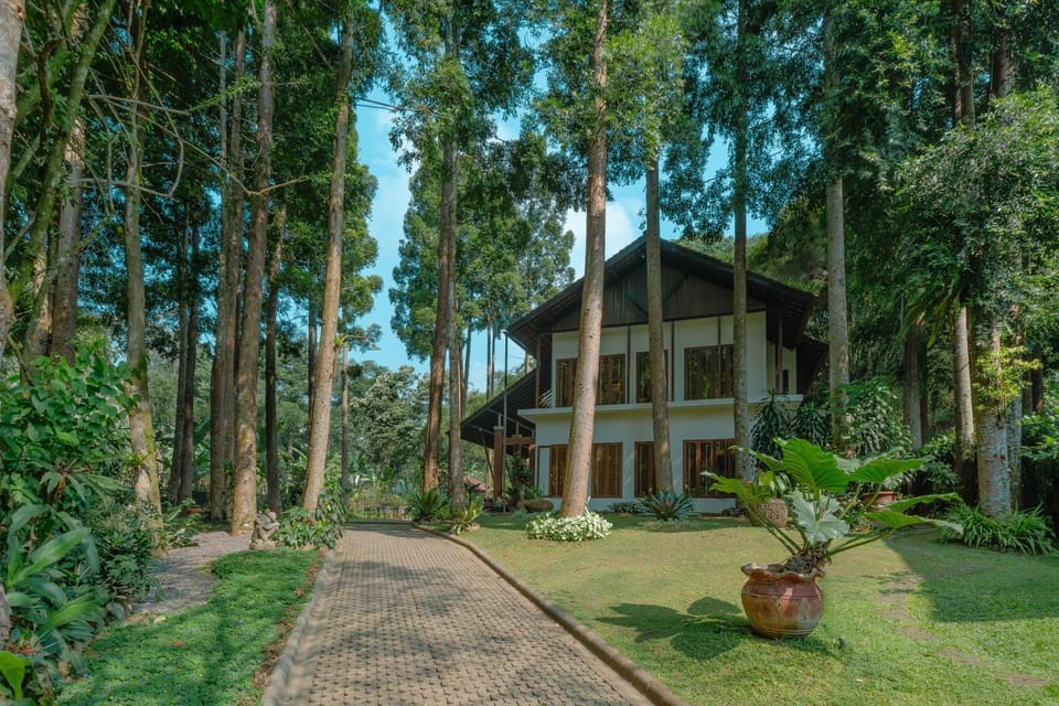 Property building, Garden