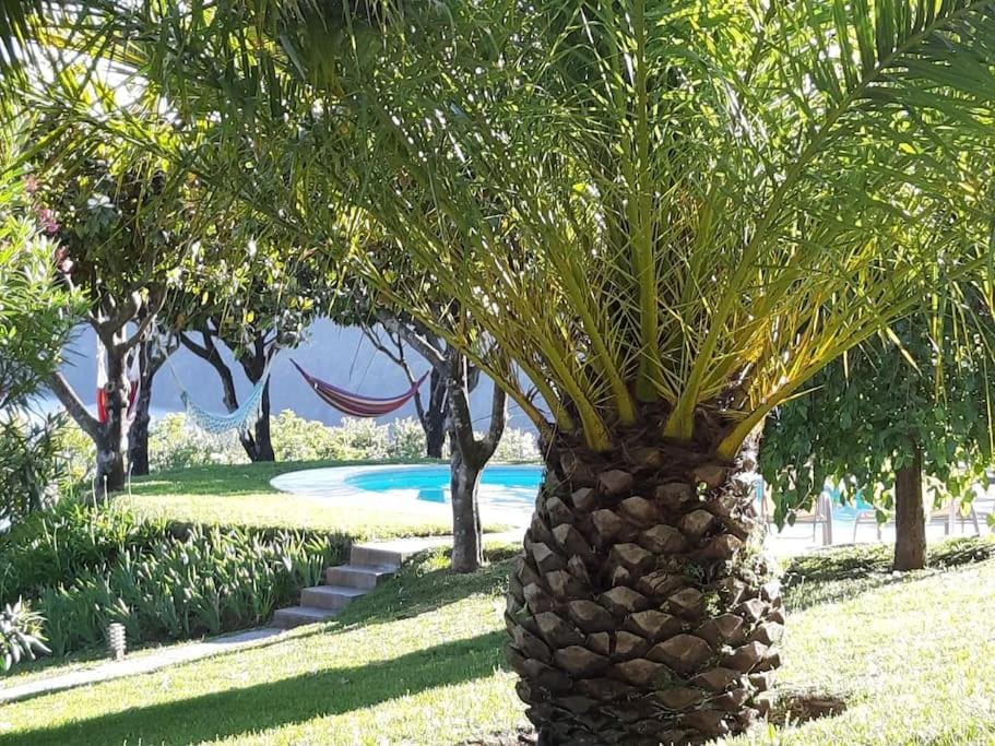 Douro Charming Chalet Chalet in Porto District