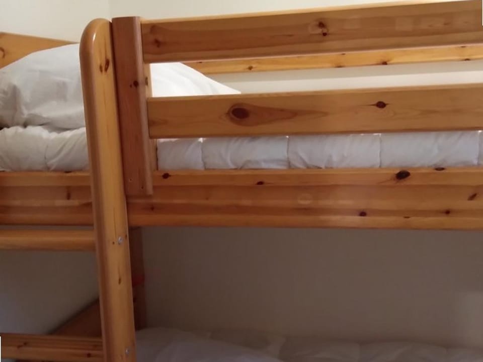 Studio confortable 4 pers, proche pistes, centre et commerces - FR-1-733-56 Apartment in Haute-Savoie