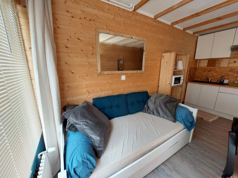 Studio cosy avec balcon sud et animaux admis, proche pistes - FR-1-516-204 Apartment in Les Deux Alpes