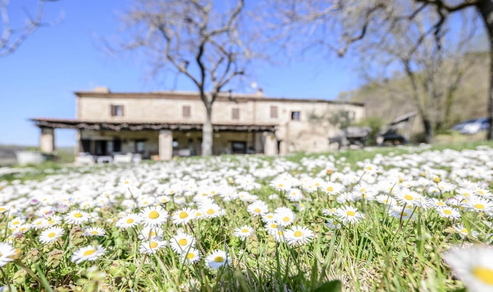 Garden, Garden view, Inner courtyard view