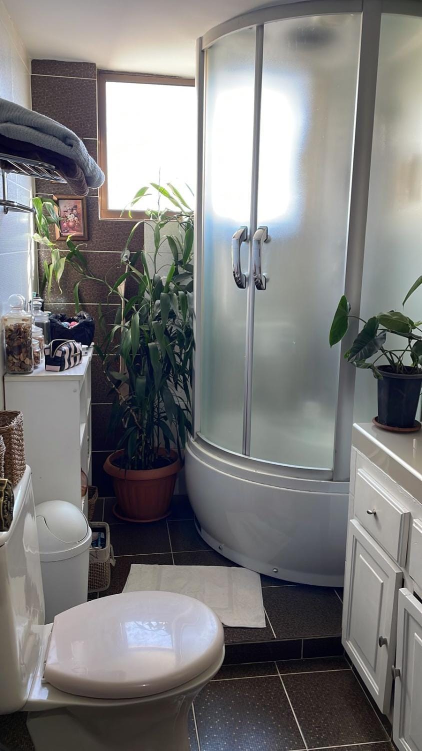Shower, Toilet
