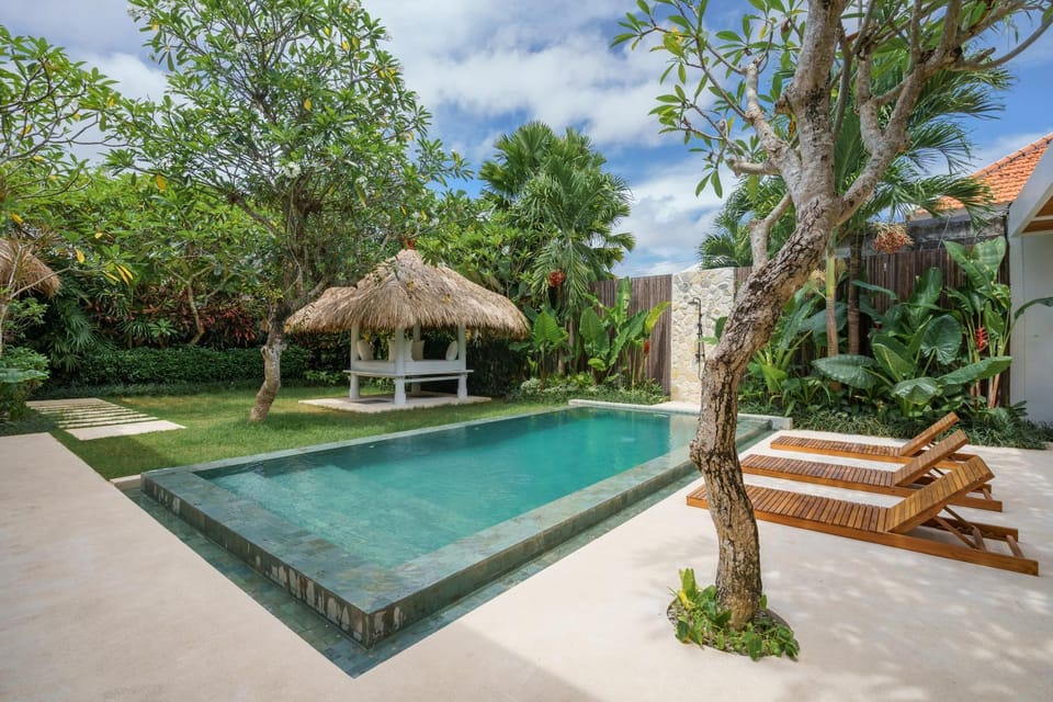 Patio, Spring, Day, Garden, Garden view, Pool view, Swimming pool, Swimming pool, sunbed