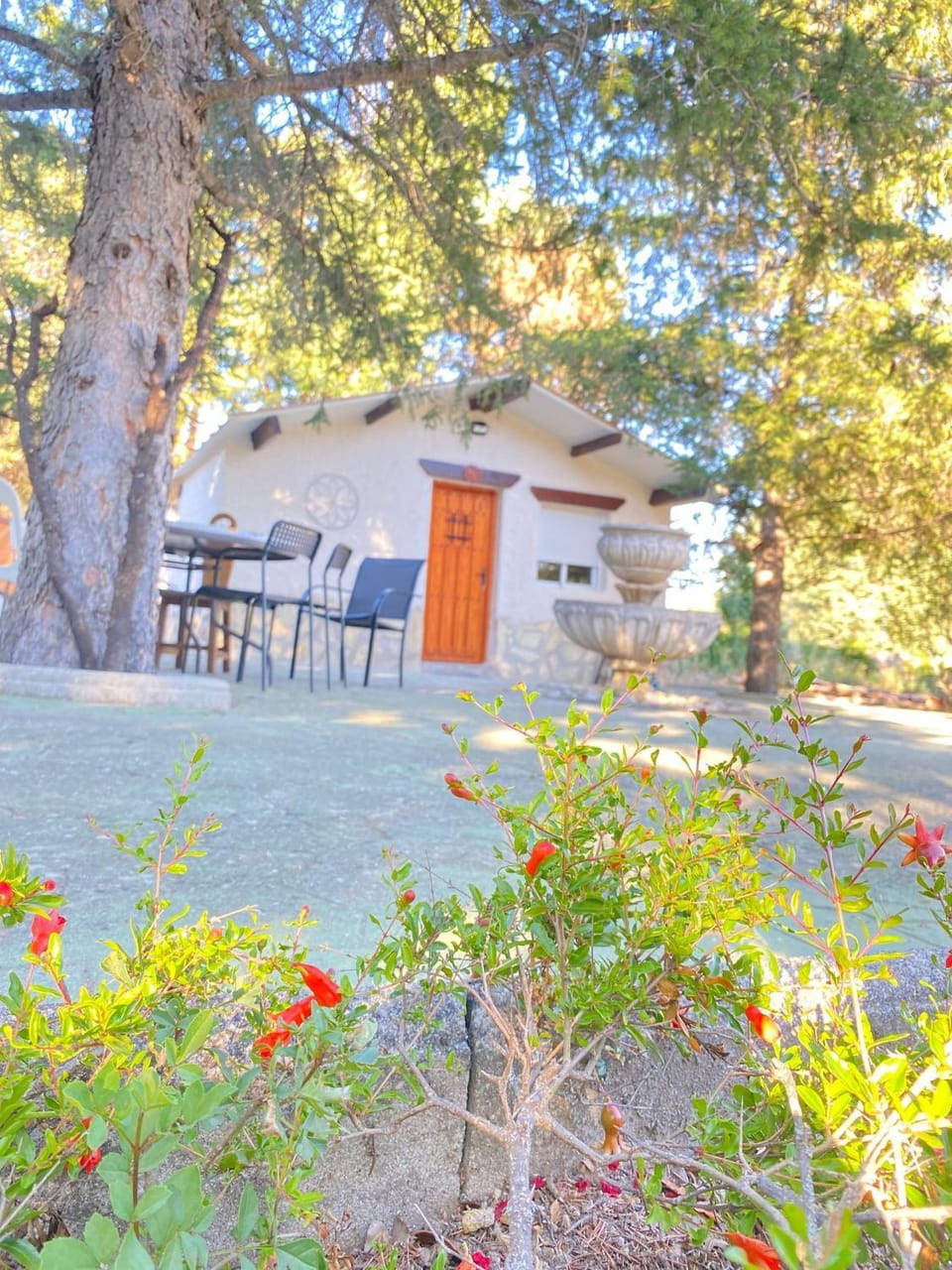 Cabañas Rústicas dentro de la Finca El Castillo House in Sierra Norte