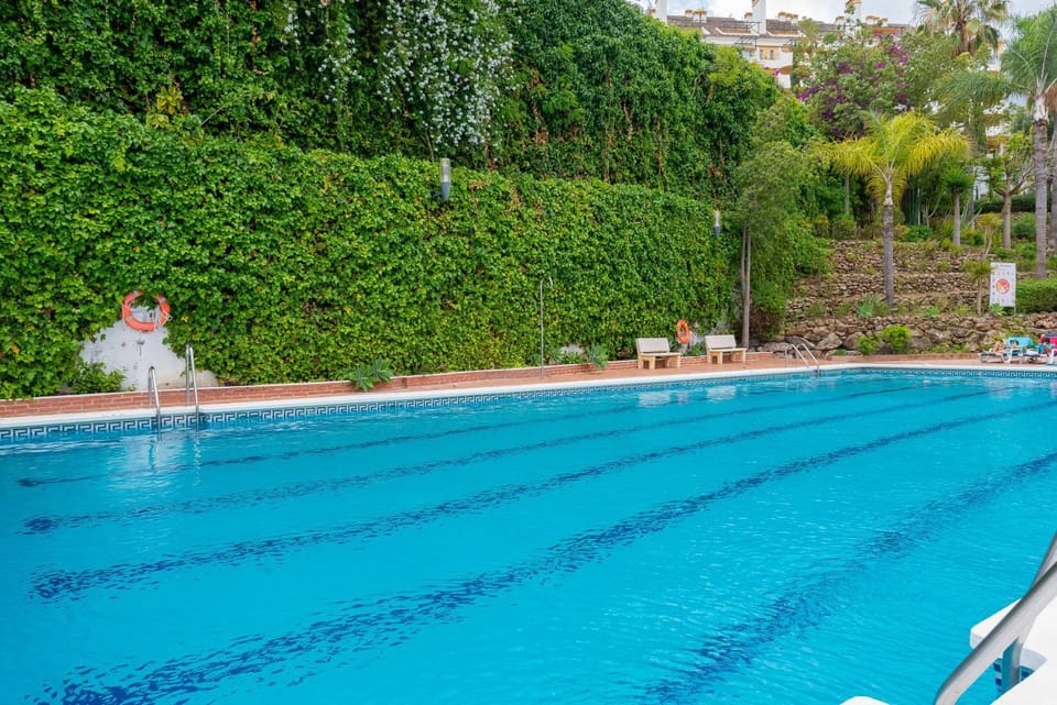 Day, Garden, Garden view, Pool view, Swimming pool, sunbed