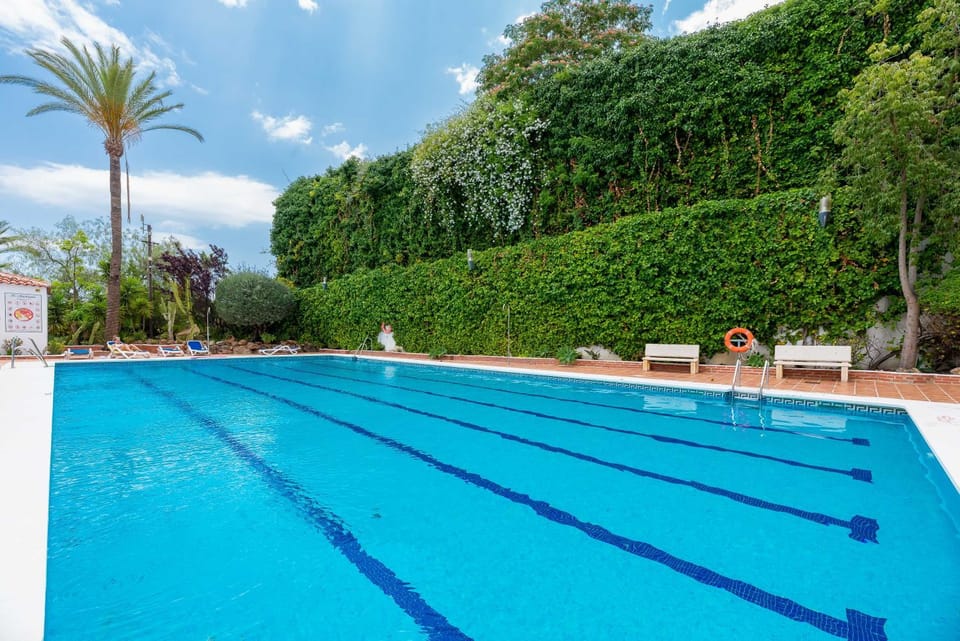 Day, Pool view, Swimming pool, sunbed