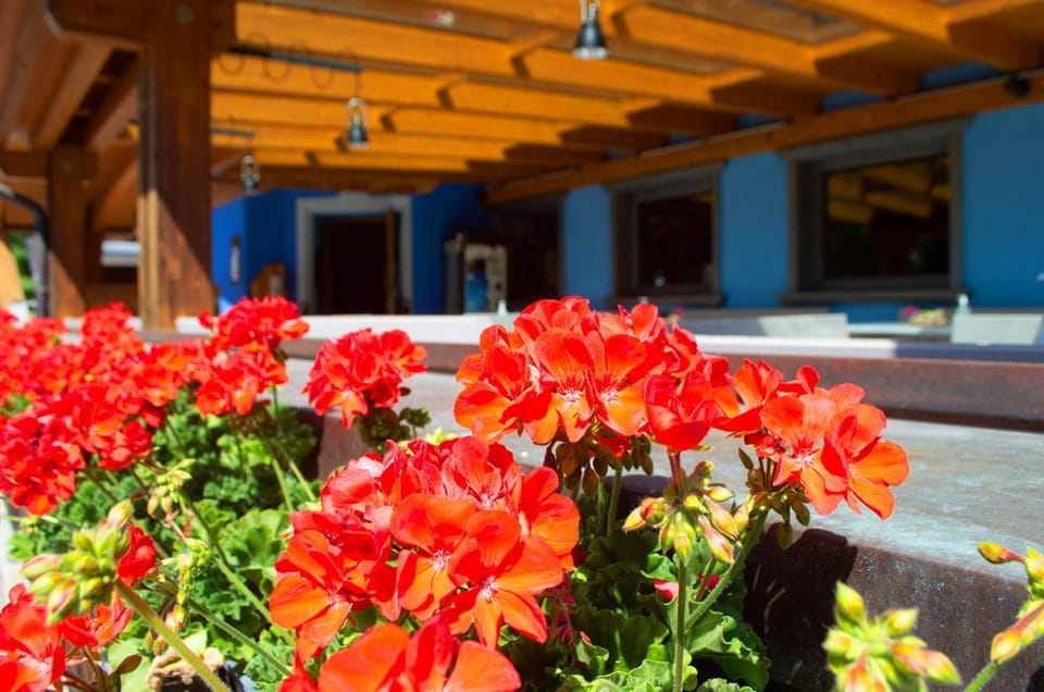 Balcony/Terrace, Decorative detail