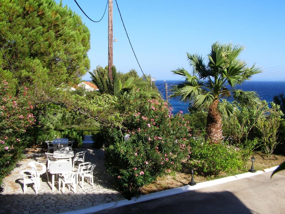 Bird's eye view, Garden view, Sea view