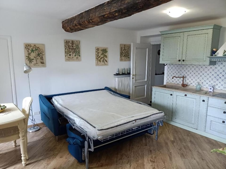 Bed, Kitchen or kitchenette, Photo of the whole room