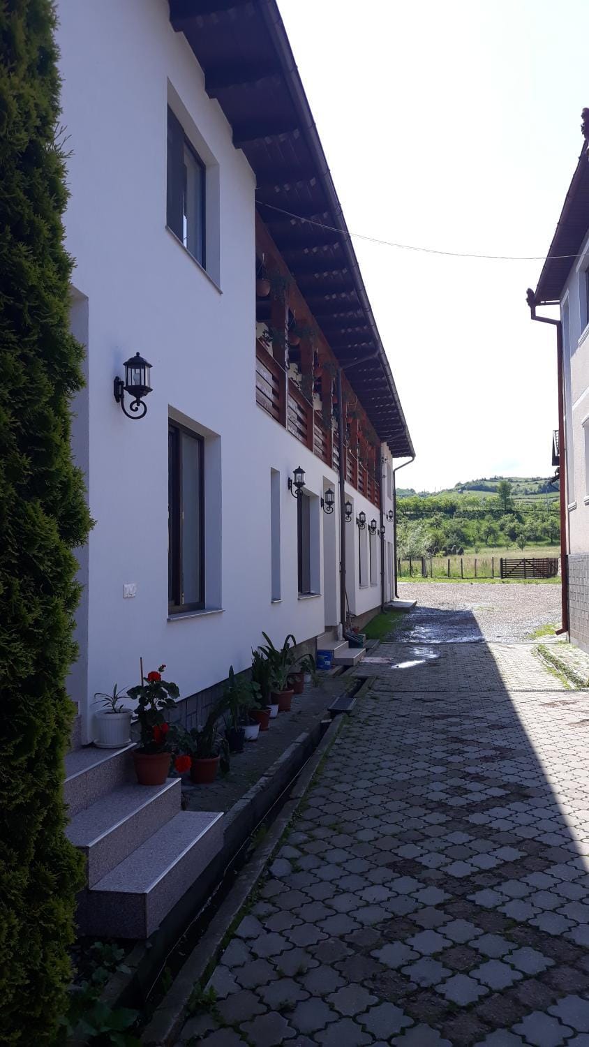 Pensiunea Georgiana Bed and Breakfast in Romania