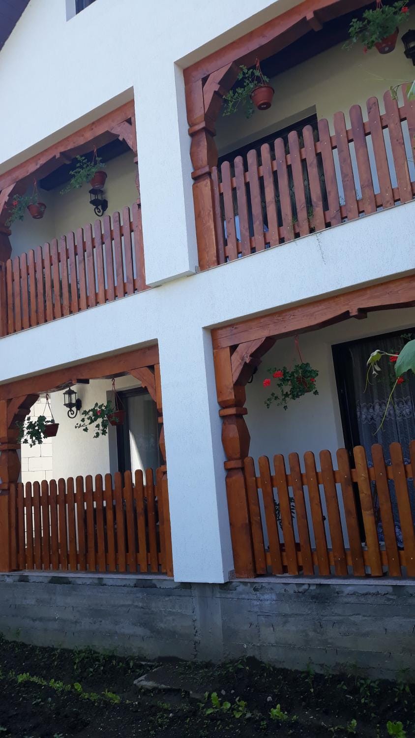 Pensiunea Georgiana Bed and Breakfast in Romania