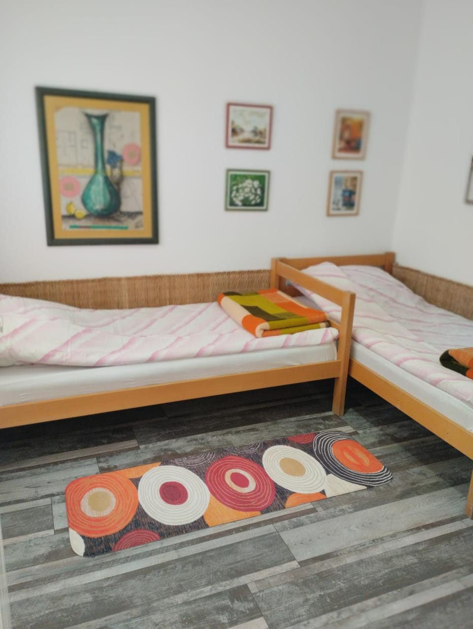 Cyclo Apartment Pinki Apartment in Vojvodina