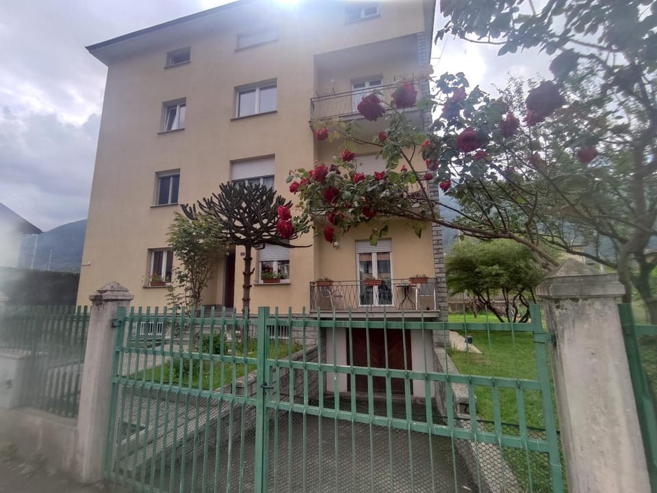 Property building, Day, Garden