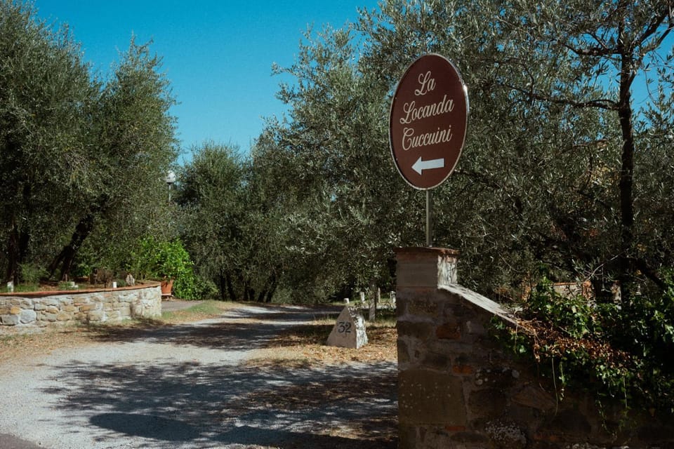 Spring, Property logo or sign, Street view