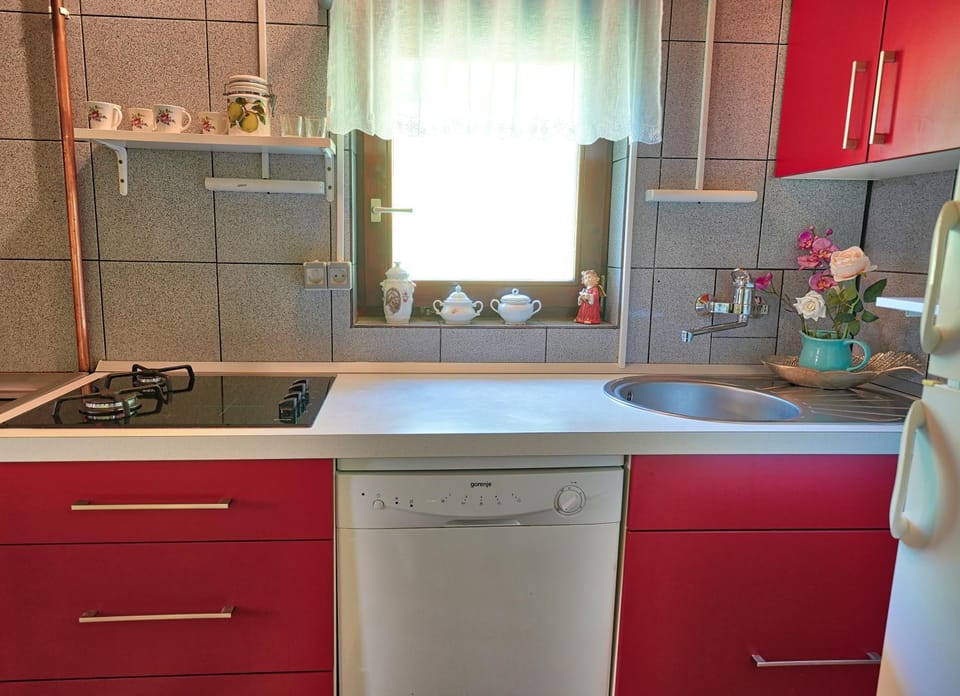 Kitchen or kitchenette, dishwasher