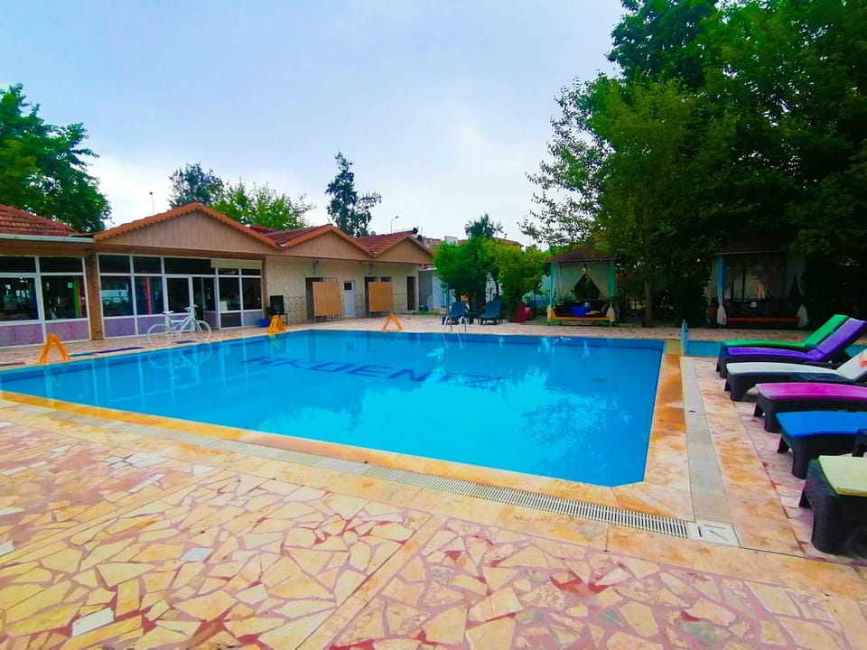 Garden, Garden view, Swimming pool
