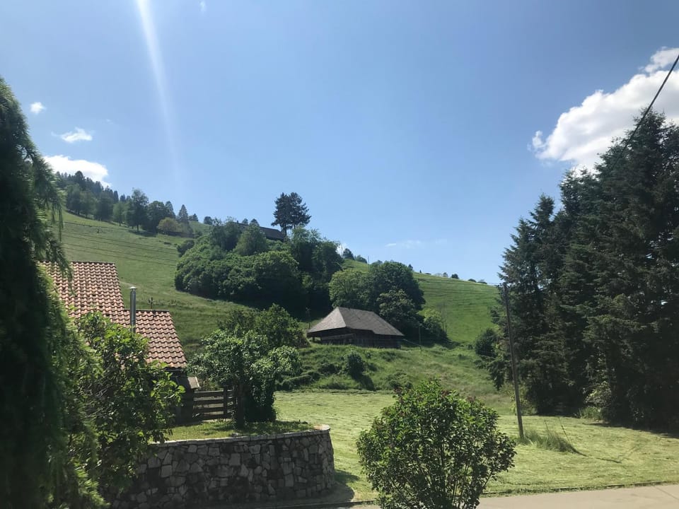 Schwarzwaldstüble Apartment in Baden-Württemberg