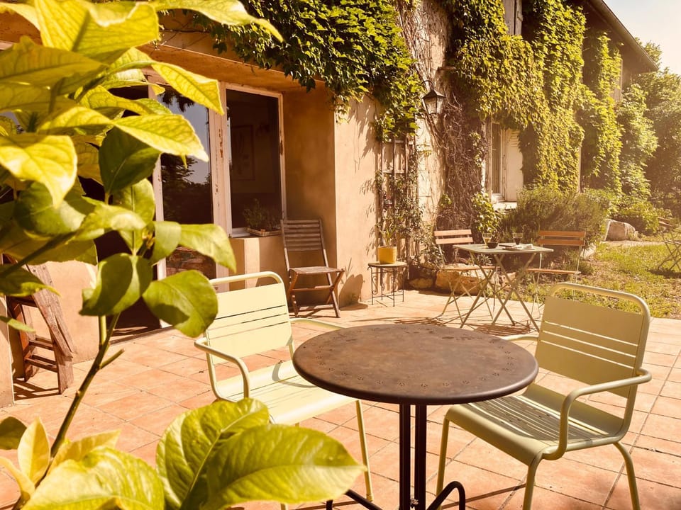 Patio, Garden, Garden view