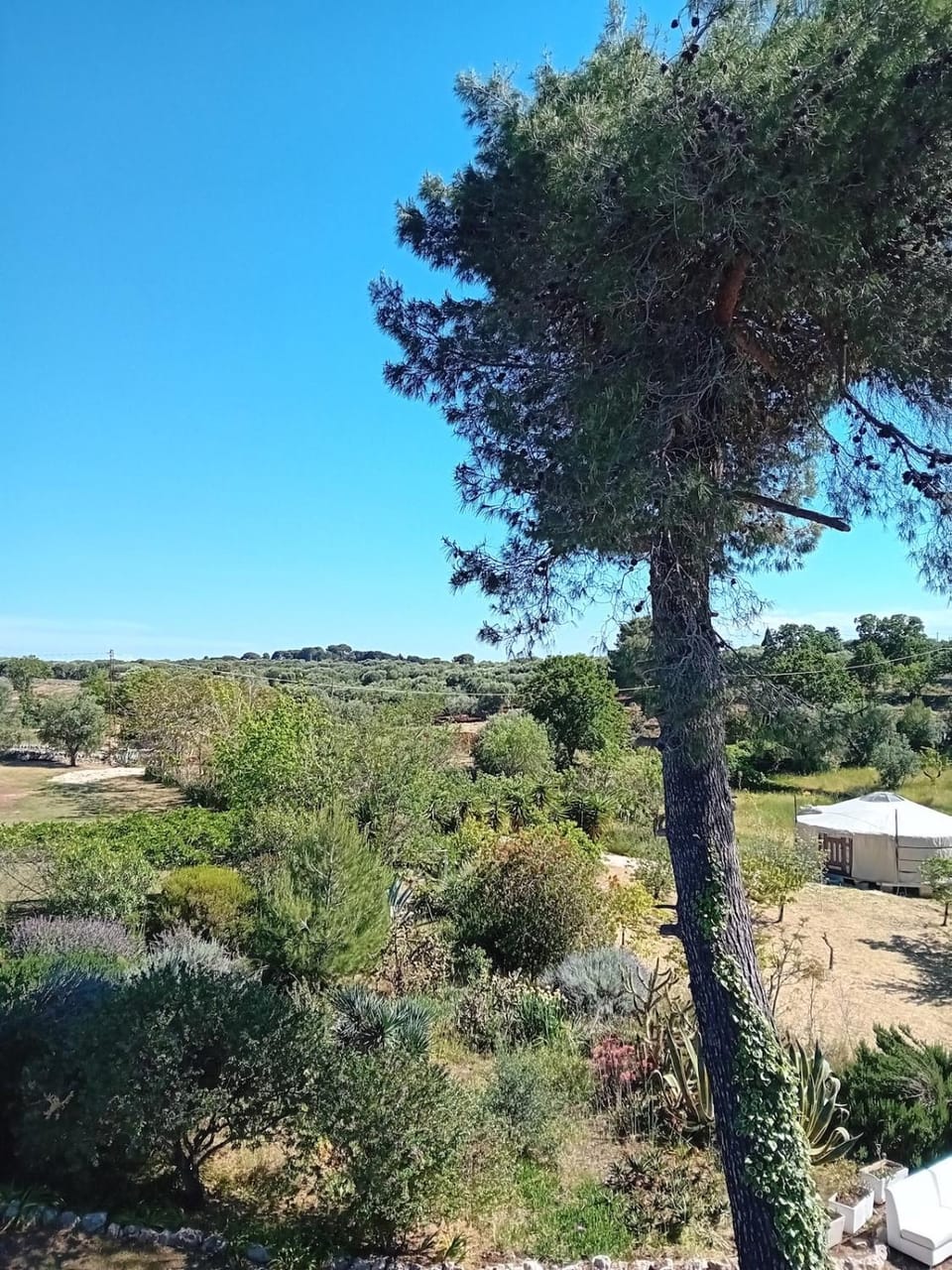 Torre Marinella Country House in Province of Taranto