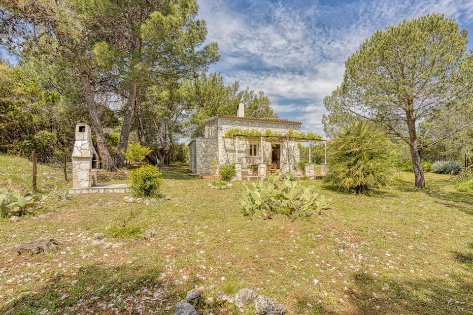 Garden, Garden view