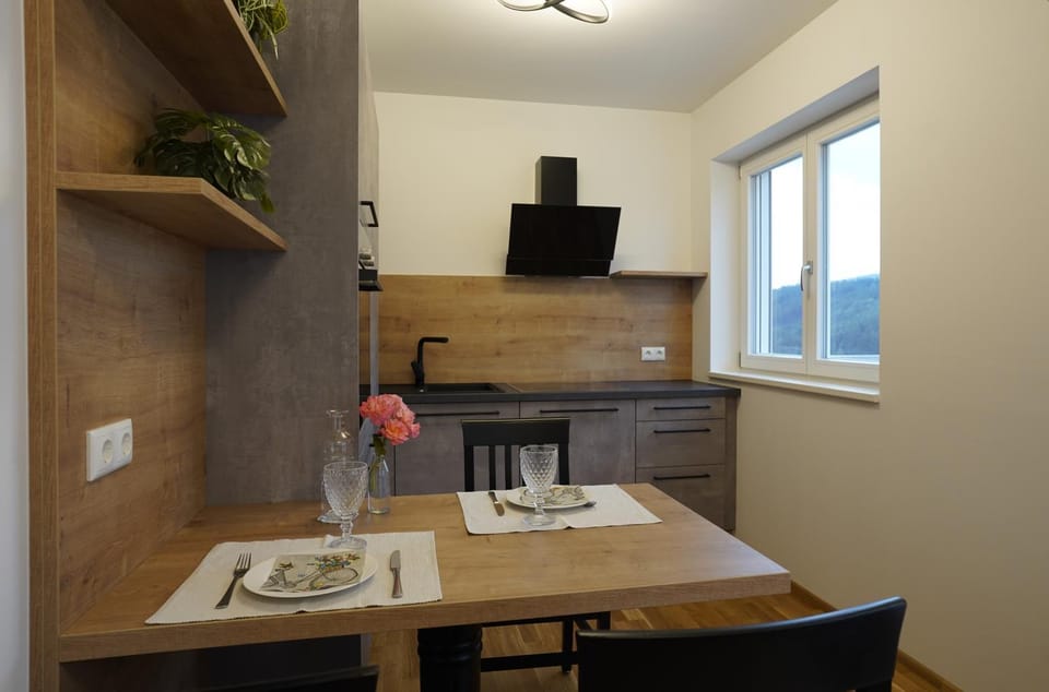 Kitchen or kitchenette, Dining area, stove, kitchen