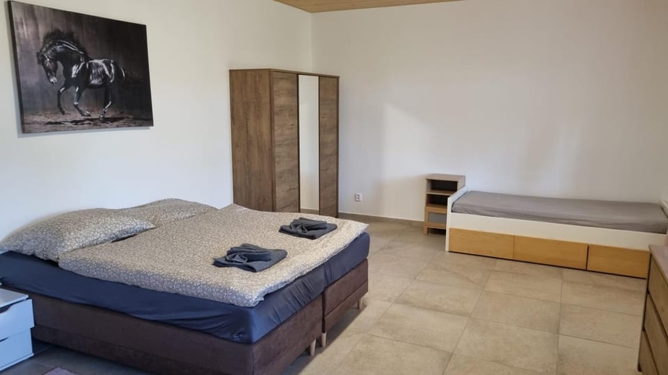 Bed, Photo of the whole room, Bedroom, towels, wardrobe