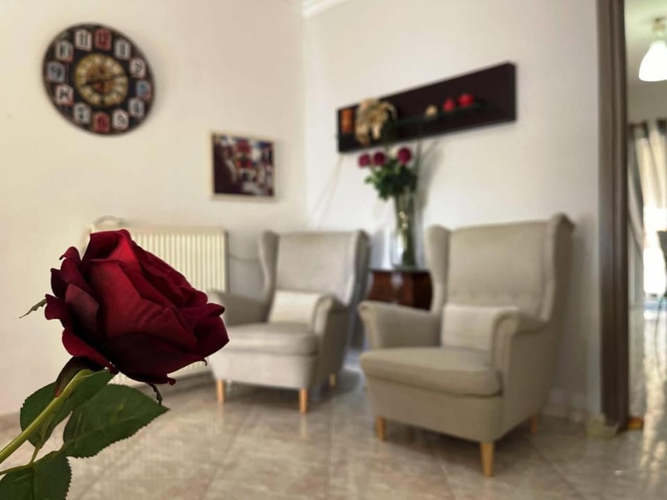 Ένα όμορφο και άνετο μέρος Apartment in Ioannina