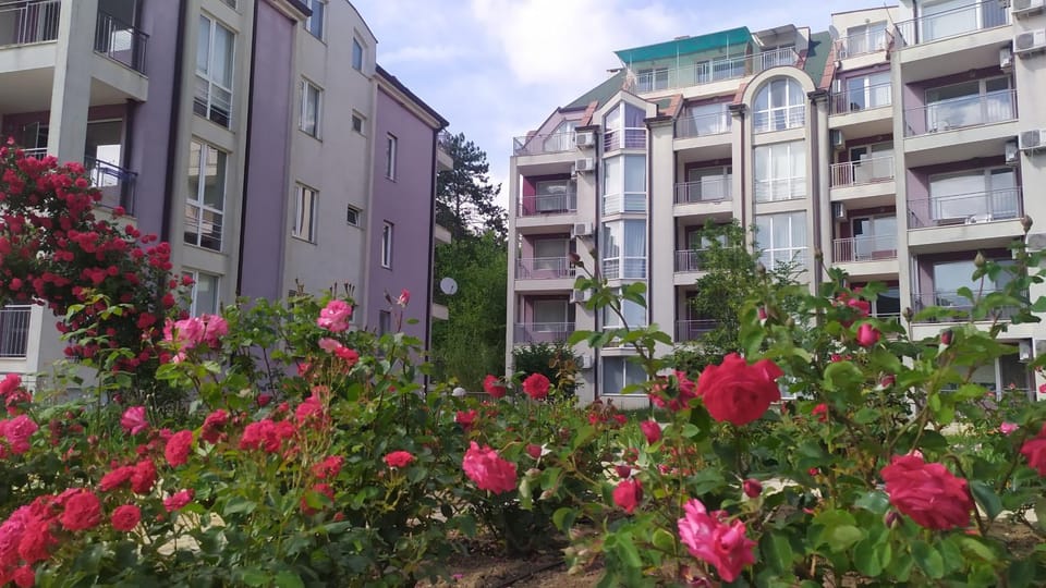 Property building, Day, Garden, Garden view