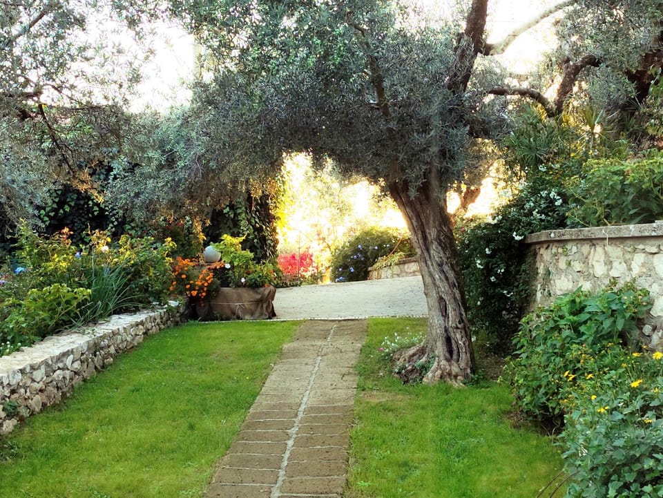 Natural landscape, Garden