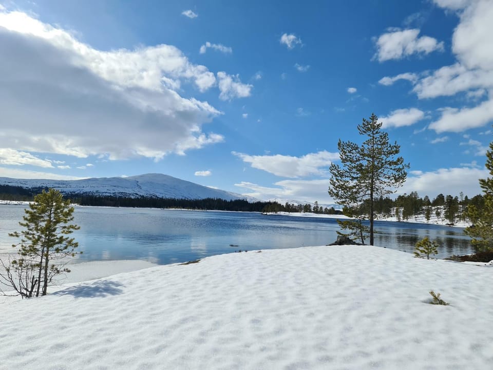 Natural landscape