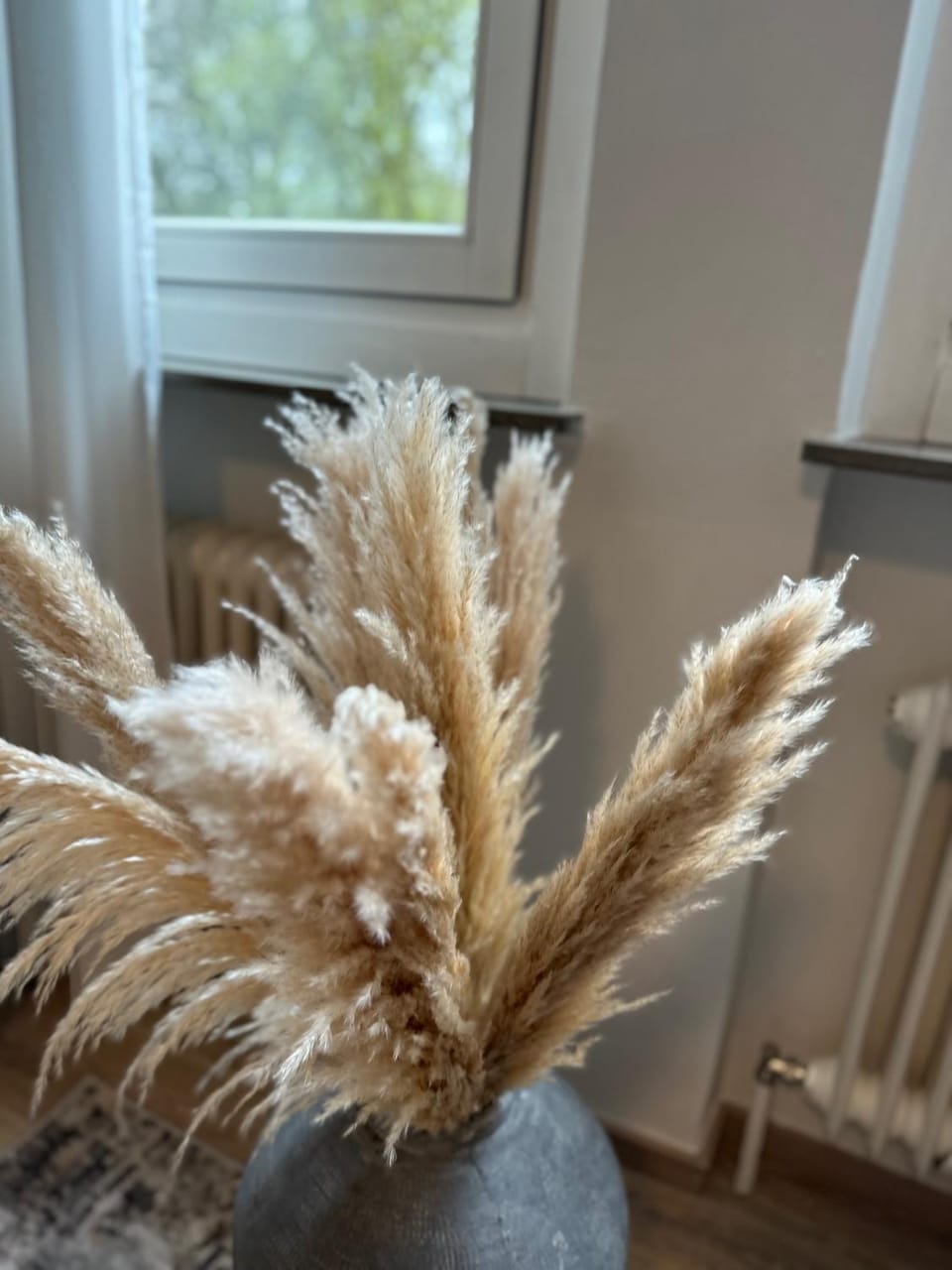 CityAppartLuxe am Hofgarten - zwischen Uni und Stadt-Zentrum Apartment in Bayreuth