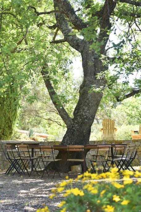 Domaine de Matourne Villa in Flayosc