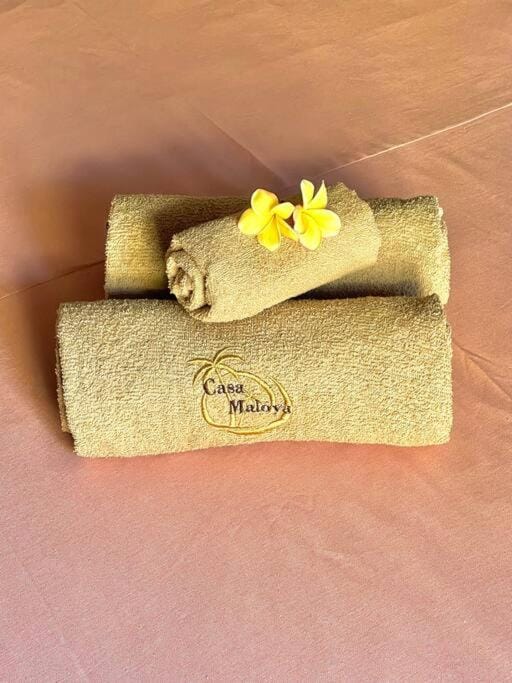 Casa Maloya alberca y vista al mar Villa in Brisas de Zicatela