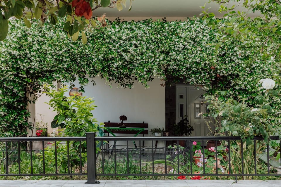 Spring, Garden, Garden view