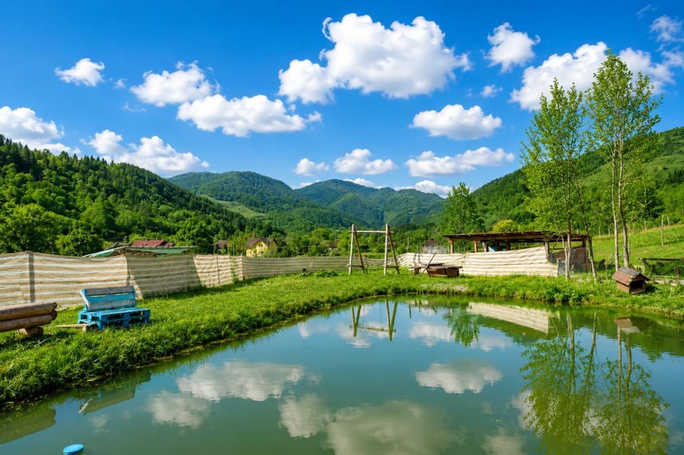 Lake view