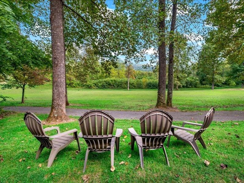 Blue Ridge View Pet Friendly, Deck, Grill House in Tennessee