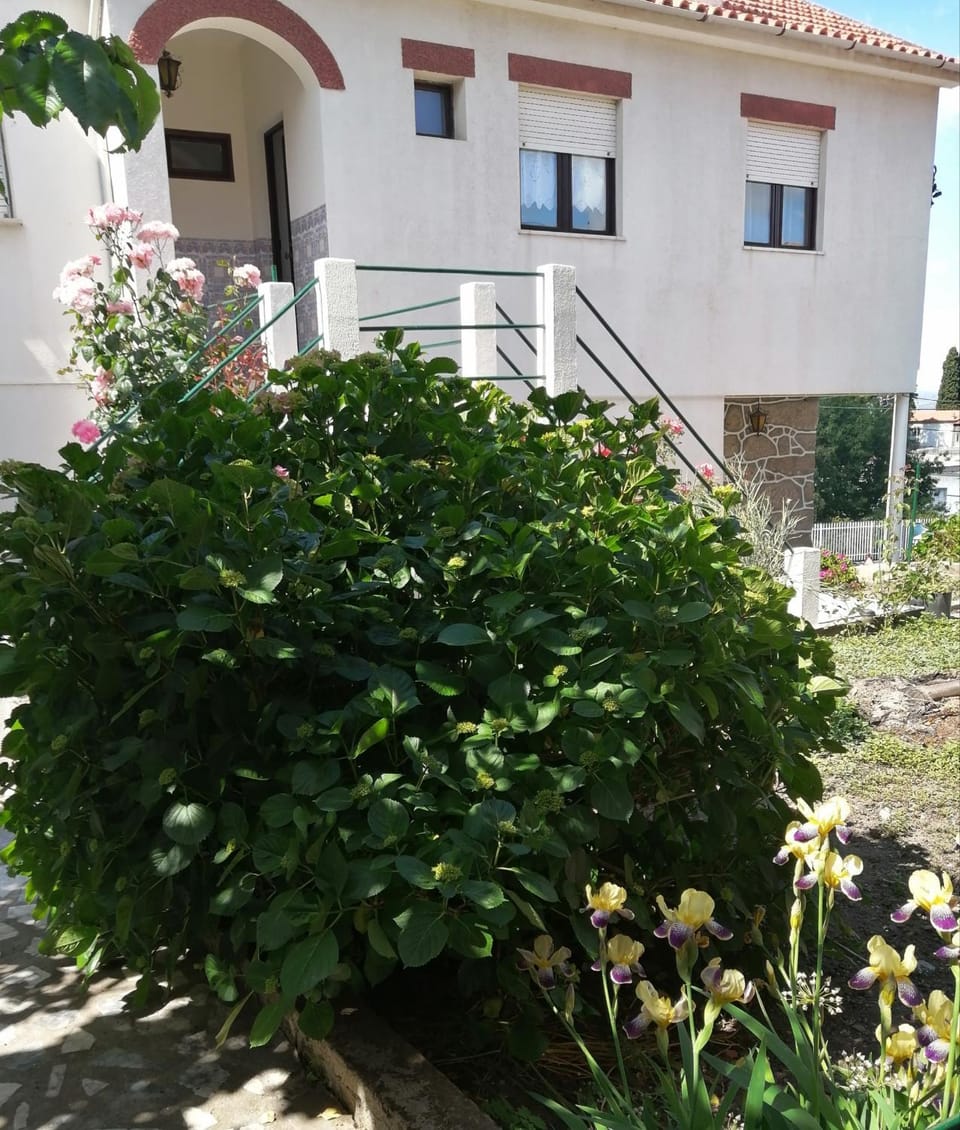 Property building, Off site, Garden, Garden view