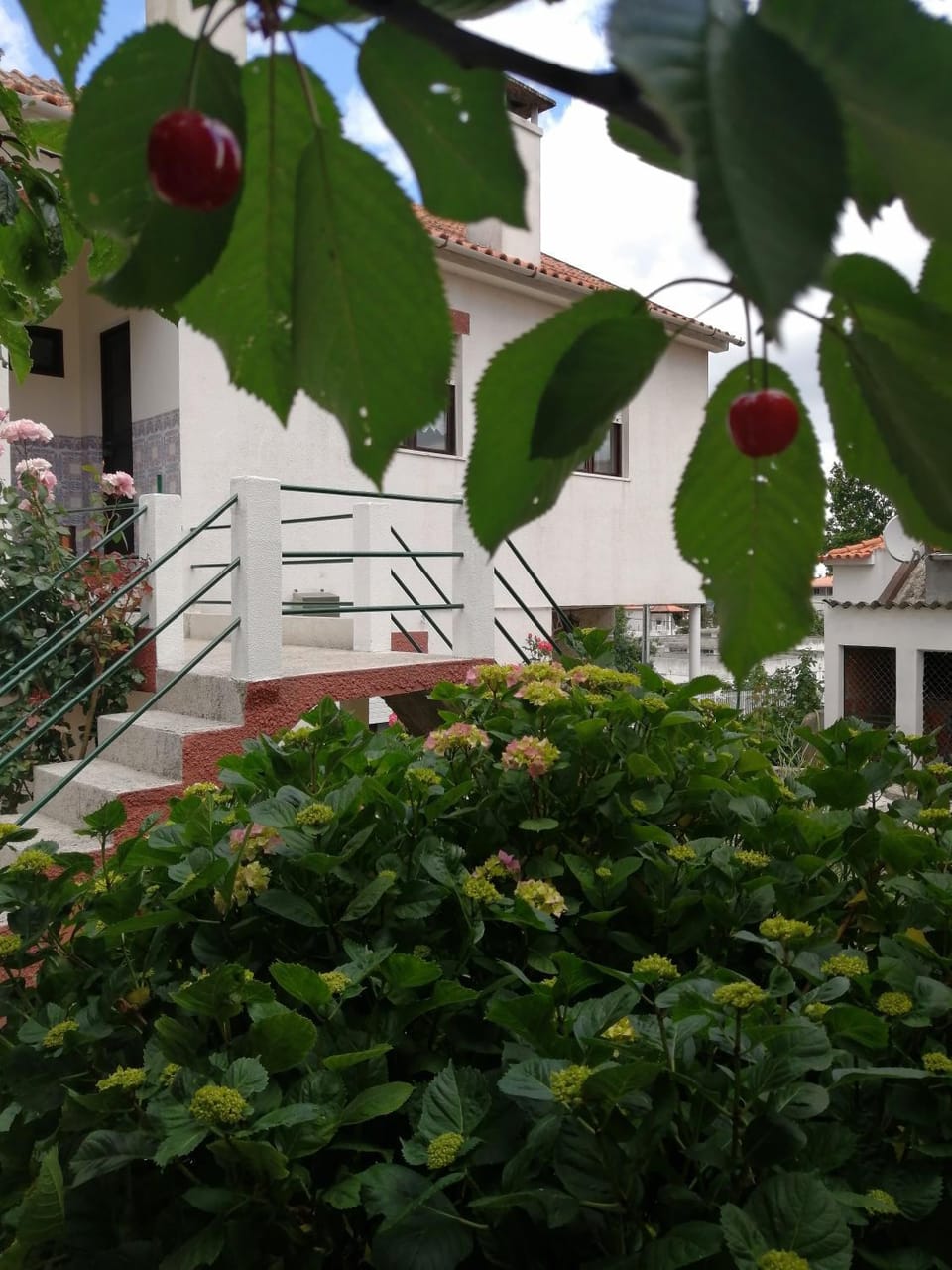Property building, Garden