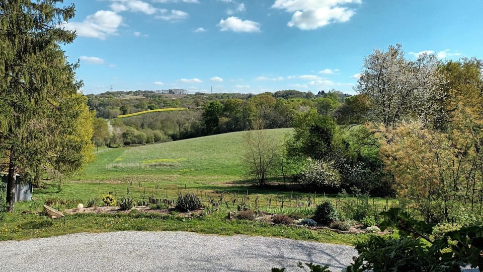 Natural landscape