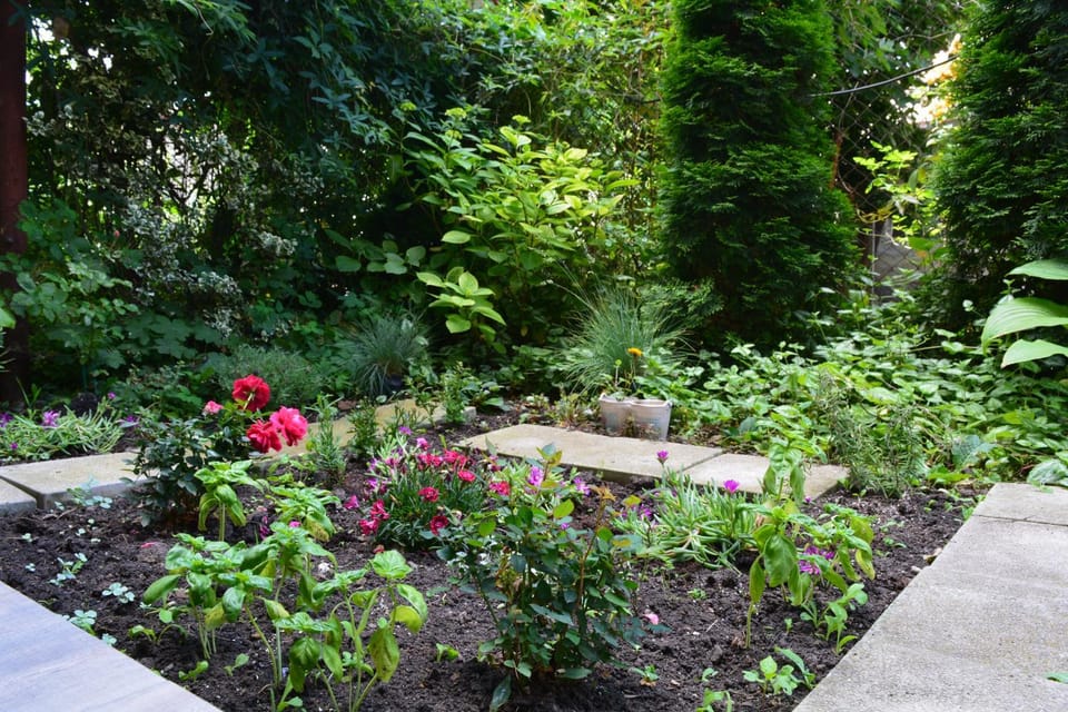Spring, Natural landscape, Garden, Garden view