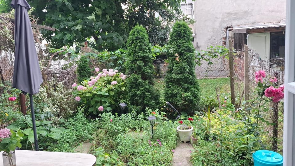 Day, Garden, Garden view