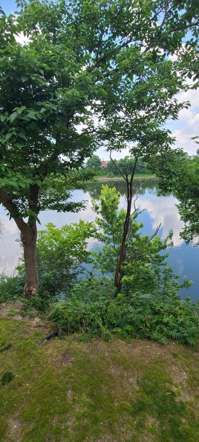 River view