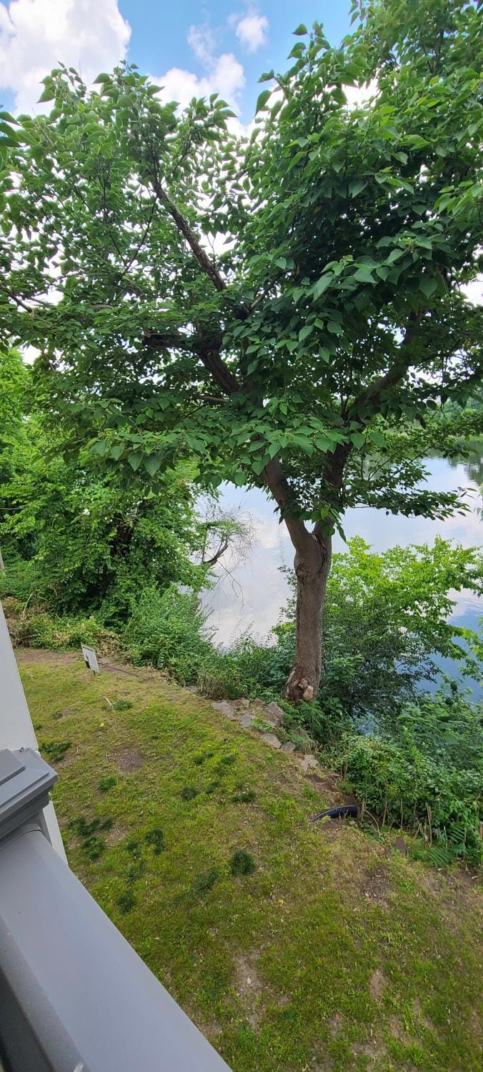 River view