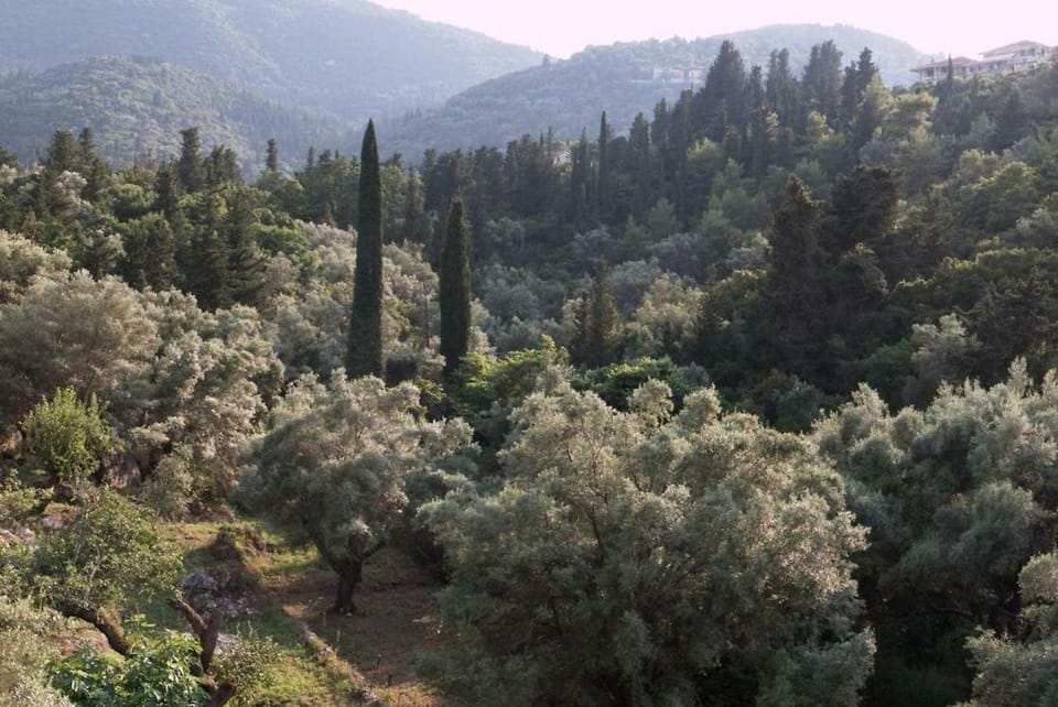 CHRISTINAS STUDIOS NIKIANA Bed and Breakfast in Lefkada, Lefkada Municipality, Greece